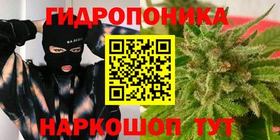 ГАЛЛЮЦИНОГЕННЫЕ ГРИБЫ Пушкино