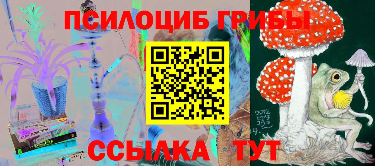 Галлюциногенные грибы GOLDEN TEACHER  купить  цена  Подольск  Галлюциногенные грибы Psilocybe  Вход с VPN 