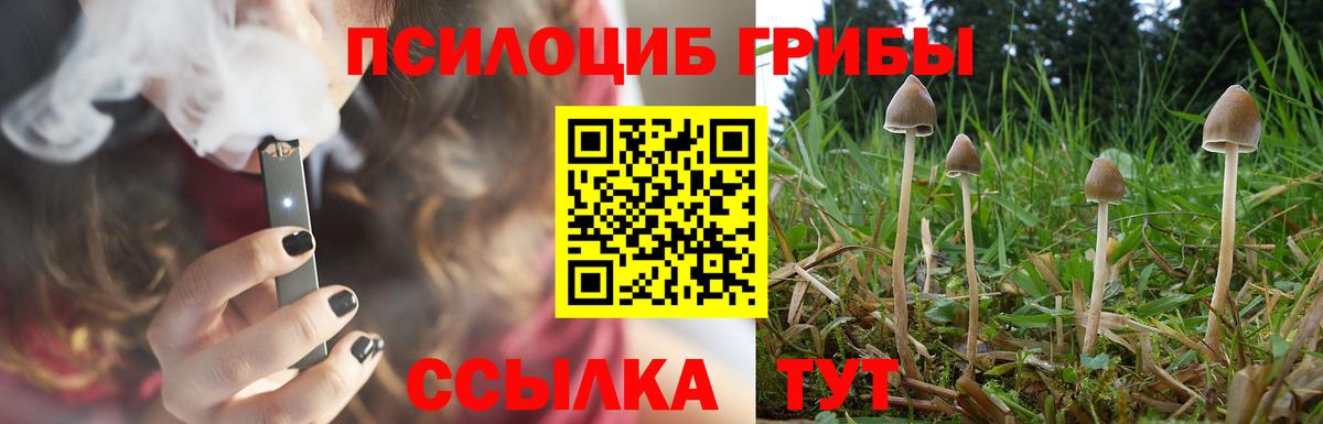 Псилоцибиновые грибы GOLDEN TEACHER Подольск